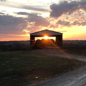 Meet your Posher, Rylie